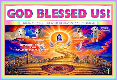 GBU  ENHANCED SM