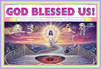 GBU COSMIC SM