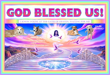 GBU DIVINE STEPS SM