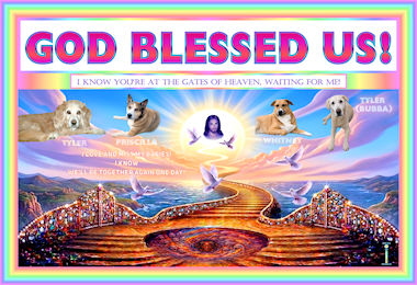 GBU TRADITIONAL ENHANCED SM